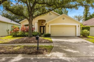 12006 OAKSBURY DRIVE, TAMPA, FL 33626 Sold 01/28/25