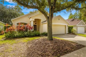 12006 OAKSBURY DRIVE, TAMPA, FL 33626 Sold 01/28/25