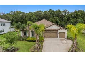 18416 BELFAIR GLEN PLACE, LUTZ, FL 33559 Sold 09/13/24