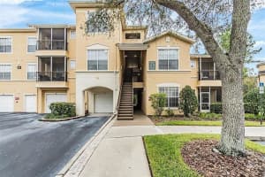 5125 Palm Springs Blvd #1303, TAMPA