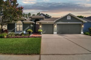 9723 BAY COLONY DRIVE, RIVERVIEW, FL 33578 Sold 08/26/24