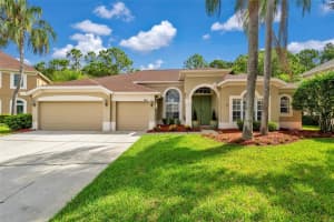 18931 CHAVILLE ROAD, LUTZ, FL 33558 Sold 08/12/24