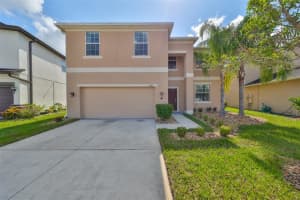 3865 TUCKERTON DRIVE, LAND O LAKES, FL 34638 Sold 12/20/24