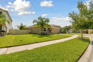 32940 SAND CREEK DRIVE, WESLEY CHAPEL, FL 33543 Sold 08/26/24