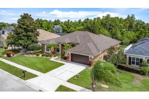 16506 IVY LAKE DRIVE, ODESSA, FL 33556 Sold 11/04/24