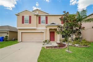 1604 CLIMBING DAYFLOWER DRIVE, RUSKIN, FL 33570 Sold 09/19/24