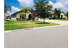 13575 WILLOW BLUESTAR LOOP, RIVERVIEW, FL 33579 Sold 12/06/24
