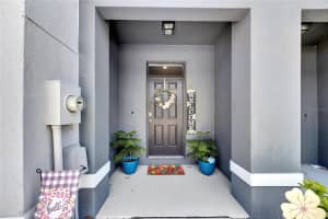 8658 FALLING BLUE PLACE, RIVERVIEW, FL 33578 Sold 08/19/24