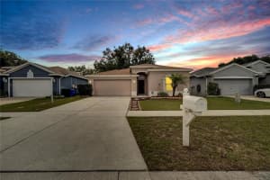 803 PARSONS POINTE STREET, SEFFNER, FL 33584 Sold 06/16/25