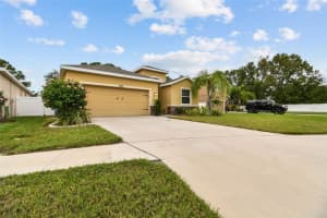 10508 SCENIC HOLLOW DRIVE, RIVERVIEW, FL 33578 Sold 10/28/24