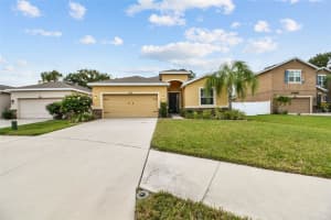 10508 SCENIC HOLLOW DRIVE, RIVERVIEW, FL 33578 Sold 10/28/24