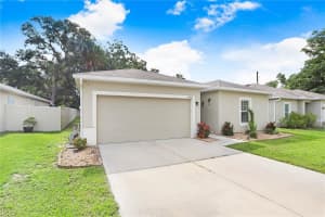 10422 CANDLEBERRY WOODS LANE, GIBSONTON, FL 33534 Sold 11/22/24