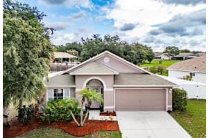 10245 HUNTERS HAVEN BOULEVARD, RIVERVIEW, FL 33578 Sold 12/03/24