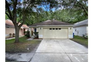 6619 SUMMER HAVEN DRIVE, RIVERVIEW, FL 33578 Sold 09/13/24