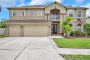 17936 SOUTER LANE, LAND O LAKES, FL 34638 Sold 11/13/24