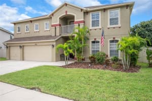17936 SOUTER LANE, LAND O LAKES, FL 34638 Sold 11/13/24
