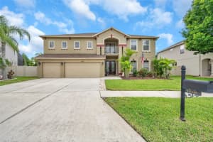 17936 SOUTER LANE, LAND O LAKES, FL 34638 Sold 11/13/24