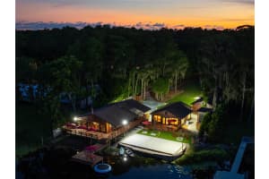 17501 BROWN ROAD, ODESSA, FL 33556 Sold 05/19/25
