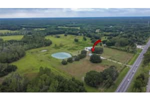 10575 PAUL BUCHMAN HIGHWAY, PLANT CITY, FL 33565 Sold 01/29/25
