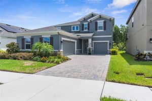 18107 RAMBLE ON WAY, LAND O LAKES, FL 34638 Sold 11/15/24
