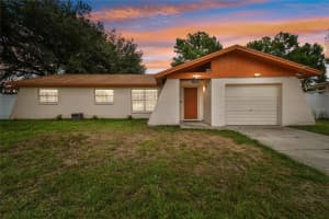 14109 LONEWOOD PLACE, TAMPA, FL 33625 Sold 01/28/25