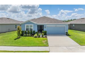 10193 GLIDING EAGLE WAY, LAND O LAKES, FL 34638 Sold 11/25/24