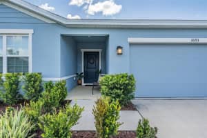 10193 GLIDING EAGLE WAY, LAND O LAKES, FL 34638 Sold 11/25/24