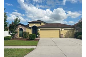 6734 WILD ELM COURT, WESLEY CHAPEL, FL 33545 Sold 11/22/24