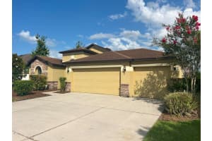 6734 WILD ELM COURT, WESLEY CHAPEL, FL 33545 Sold 11/22/24