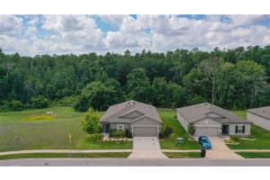18858 ALFARO LOOP, SPRING HILL, FL 34610 Sold 10/24/24
