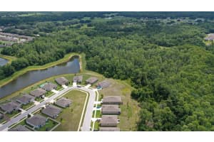 18858 ALFARO LOOP, SPRING HILL, FL 34610 Sold 10/24/24
