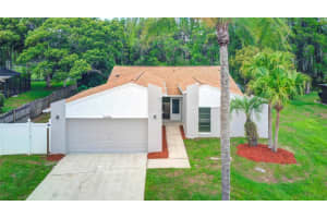 23564 BELLAIRE LOOP, LAND O LAKES, FL 34639 Sold 10/25/24