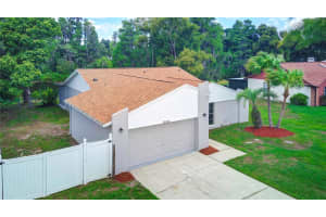 23564 BELLAIRE LOOP, LAND O LAKES, FL 34639 Sold 10/25/24