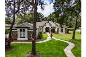 6013 HAMMOCK HILL AVENUE, LITHIA, FL 33547 Sold 12/02/24