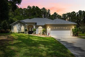 20485 GARDENIA DRIVE, LAND O LAKES, FL 34638 Sold 09/26/24