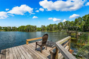 20485 GARDENIA DRIVE, LAND O LAKES, FL 34638 Sold 09/26/24