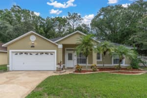 10249 BELLWOOD AVENUE, NEW PORT RICHEY, FL 34654 Sold 08/16/24
