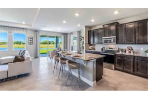 207 BRIGHT IBIS AVENUE, APOLLO BEACH, FL 33572 Sold 09/11/24