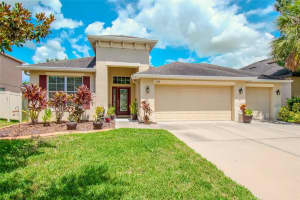 11106 FOSTER CARRIAGE ROAD, LITHIA, FL 33547 Sold 08/30/24