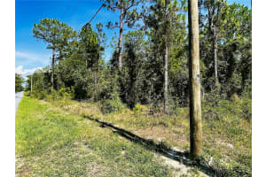 9064 MICHIGAN AVENUE, WEEKI WACHEE, FL 34613 Sold 03/05/25