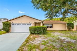 7824 LIGHTFOOT DRIVE, NEW PORT RICHEY, FL 34653 Sold 04/07/25