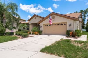 11439 DORIAN COURT, NEW PORT RICHEY, FL 34654 Sold 01/17/25