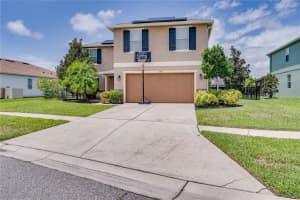 228 Star Shell Dr, APOLLO BEACH
