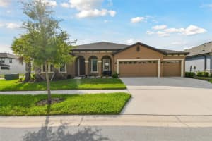 8800 BIRCHLEAF COURT, LAND O LAKES, FL 34637 Sold 12/12/24