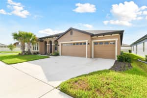 8800 BIRCHLEAF COURT, LAND O LAKES, FL 34637 Sold 12/12/24