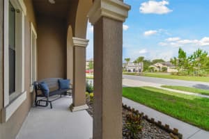 8800 BIRCHLEAF COURT, LAND O LAKES, FL 34637 Sold 12/12/24