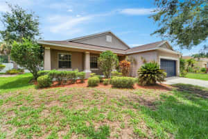 11045 HOLLY CONE DRIVE, RIVERVIEW, FL 33569 Sold 08/30/24