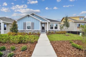 28748 RAMBUTAN DRIVE, WESLEY CHAPEL, FL 33543 Sold 01/06/25