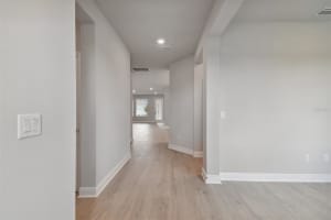28748 RAMBUTAN DRIVE, WESLEY CHAPEL, FL 33543 Sold 01/06/25