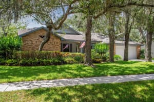 23730 OAKSIDE BOULEVARD, LUTZ, FL 33559 Sold 11/08/24